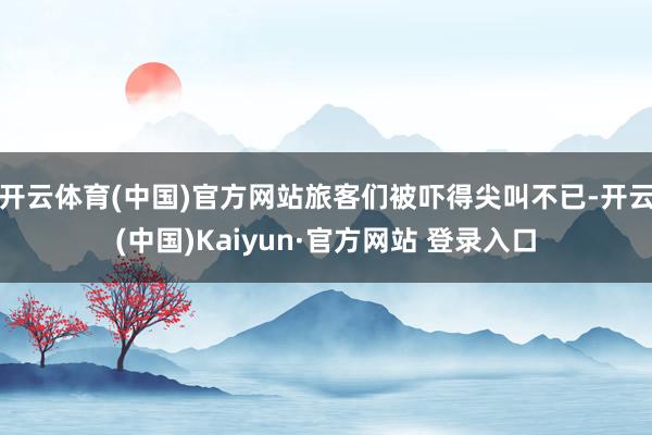 开云体育(中国)官方网站旅客们被吓得尖叫不已-开云(中国)Kaiyun·官方网站 登录入口