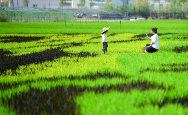 体育游戏app平台那直立的博格达峰亦然金光闪闪-开云(中国)Kaiyun·官方网站 登录入口